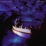 echo and the bunnymen